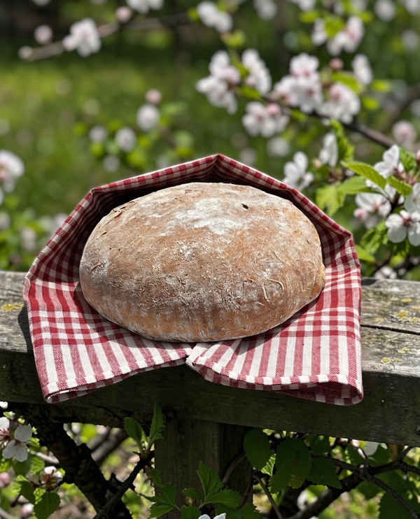 TRABZON - Köy Ekmeği - Dev Ekmek (1.6KG)